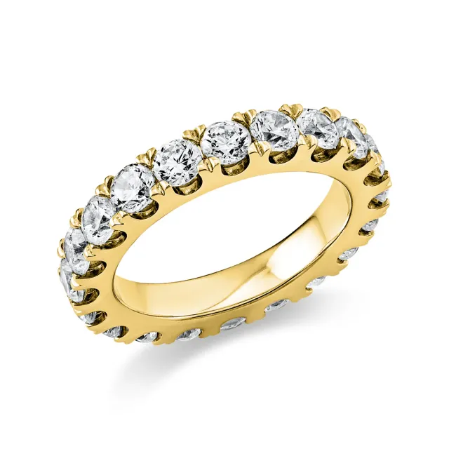 Hans Lorenz Ring Memoire voll